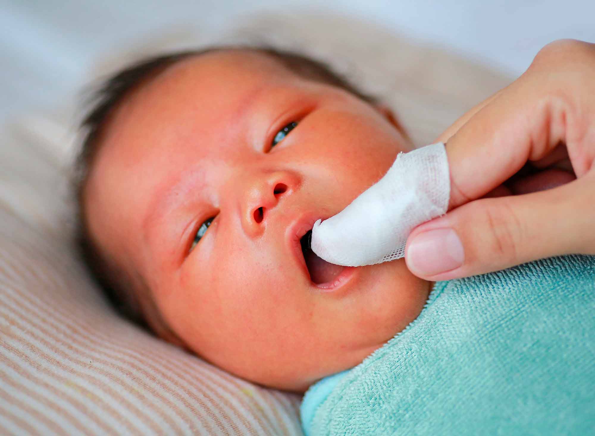 En los Bebés de hasta 6 meses, se deben limpiar las encías con una gasa húmeda después de cada alimento y antes de dormir